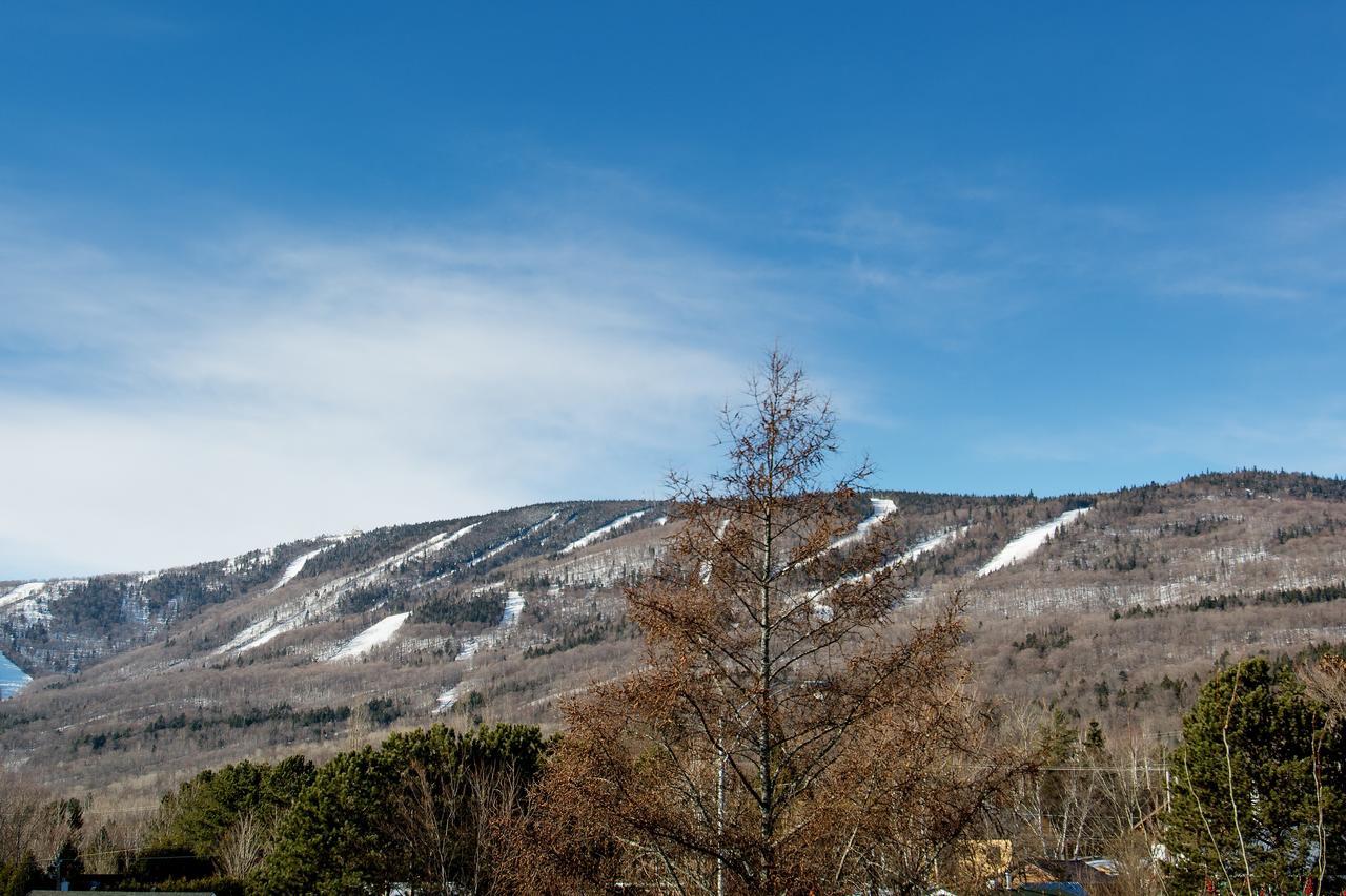 Le Vallon Saint-Ferreol-les-Neiges Exterior photo